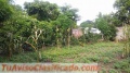 Vendo lotes en san miguel el salvador